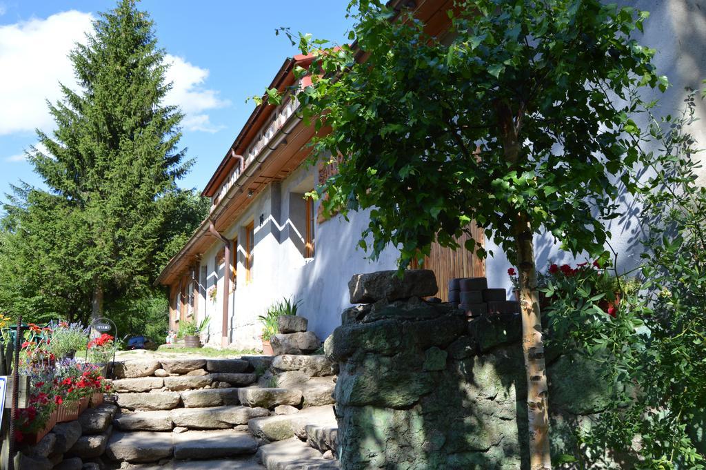 Pokoje Goscinne Arnika Gorska Szklarska Poreba Exterior photo
